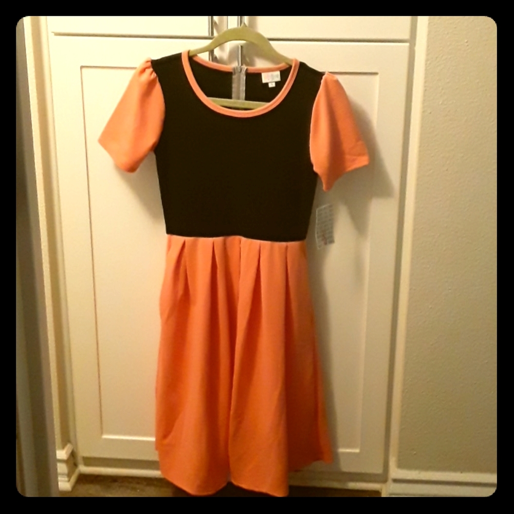 LuLaRoe Amelia dress